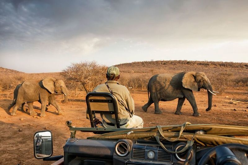 Impodimo Game Lodge Madikwe Game Reserve Dış mekan fotoğraf